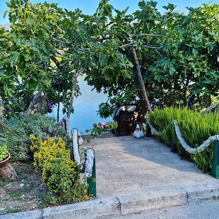 Apartamento Bacinska Jezera With View Ix